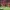 Cyril Baille RCT-ST 24-25