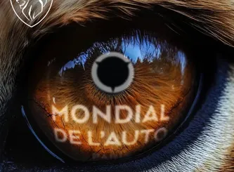 Mondial de l'Auto