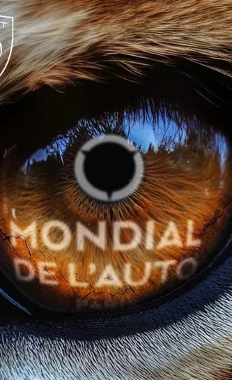 Mondial de l'Auto